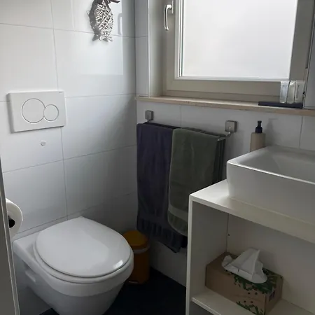 B&B Witvliet, Kamers En Studio Met Heerlijk Ontbijt !-2